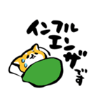 ふでしば【体調不良、気遣い】柴犬、筆文字（個別スタンプ：24）