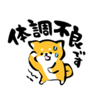 ふでしば【体調不良、気遣い】柴犬、筆文字（個別スタンプ：25）