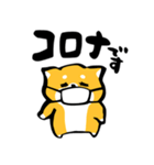 ふでしば【体調不良、気遣い】柴犬、筆文字（個別スタンプ：26）