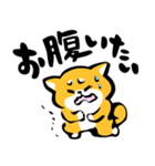 ふでしば【体調不良、気遣い】柴犬、筆文字（個別スタンプ：28）