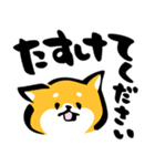 ふでしば【体調不良、気遣い】柴犬、筆文字（個別スタンプ：31）