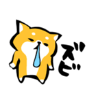 ふでしば【体調不良、気遣い】柴犬、筆文字（個別スタンプ：35）