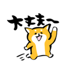 ふでしば【体調不良、気遣い】柴犬、筆文字（個別スタンプ：40）