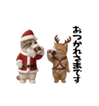 ネッコさんのおスタンプ11（個別スタンプ：6）