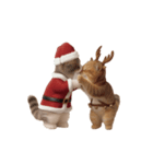 ネッコさんのおスタンプ11（個別スタンプ：12）