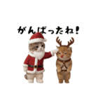 ネッコさんのおスタンプ11（個別スタンプ：16）