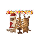 ネッコさんのおスタンプ11（個別スタンプ：21）