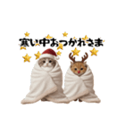 ネッコさんのおスタンプ11（個別スタンプ：23）