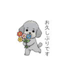 使いやすい敬語のトイプードル②（個別スタンプ：3）