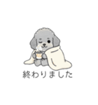 使いやすい敬語のトイプードル②（個別スタンプ：6）