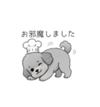 使いやすい敬語のトイプードル②（個別スタンプ：7）