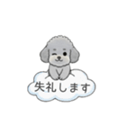 使いやすい敬語のトイプードル②（個別スタンプ：8）