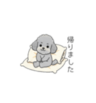 使いやすい敬語のトイプードル②（個別スタンプ：11）