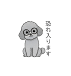 使いやすい敬語のトイプードル②（個別スタンプ：15）