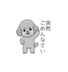 使いやすい敬語のトイプードル②（個別スタンプ：18）