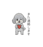 使いやすい敬語のトイプードル②（個別スタンプ：19）