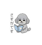 使いやすい敬語のトイプードル②（個別スタンプ：20）
