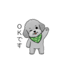 使いやすい敬語のトイプードル②（個別スタンプ：21）