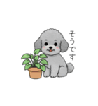 使いやすい敬語のトイプードル②（個別スタンプ：26）