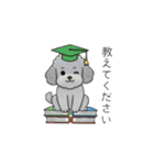 使いやすい敬語のトイプードル②（個別スタンプ：27）