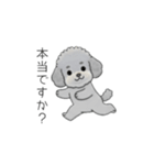 使いやすい敬語のトイプードル②（個別スタンプ：31）