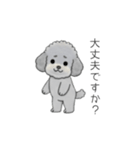 使いやすい敬語のトイプードル②（個別スタンプ：34）