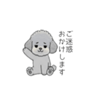 使いやすい敬語のトイプードル②（個別スタンプ：35）