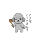 使いやすい敬語のトイプードル②（個別スタンプ：37）