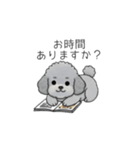 使いやすい敬語のトイプードル②（個別スタンプ：40）