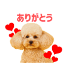 シリちゃんの可愛いスタンプです❕（個別スタンプ：2）