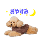 シリちゃんの可愛いスタンプです❕（個別スタンプ：3）