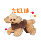 シリちゃんの可愛いスタンプです❕（個別スタンプ：7）