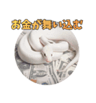 縁起の白蛇さんの開運メッセージ（個別スタンプ：2）