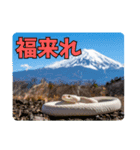 縁起の白蛇さんの開運メッセージ（個別スタンプ：6）