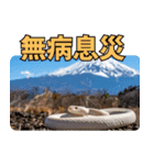 縁起の白蛇さんの開運メッセージ（個別スタンプ：10）