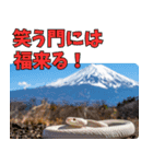 縁起の白蛇さんの開運メッセージ（個別スタンプ：13）