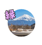 縁起の白蛇さんの開運メッセージ（個別スタンプ：17）