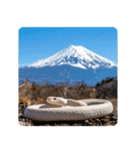 縁起の白蛇さんの開運メッセージ（個別スタンプ：23）