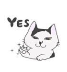 もっちゃんの物語〜その後〜（個別スタンプ：3）