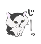 もっちゃんの物語〜その後〜（個別スタンプ：5）