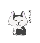 もっちゃんの物語〜その後〜（個別スタンプ：6）