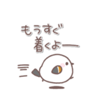 シマエナガさん♥️家族で使える連絡用（個別スタンプ：19）