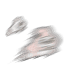 繁体・会話にクマを添えましょう(クマ子15)（個別スタンプ：35）