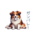 ちょっとぽっちゃりのコーイケルホンディエ（個別スタンプ：1）