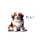 ちょっとぽっちゃりのコーイケルホンディエ（個別スタンプ：9）