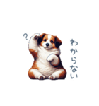 ちょっとぽっちゃりのコーイケルホンディエ（個別スタンプ：12）