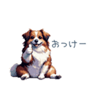 ちょっとぽっちゃりのコーイケルホンディエ（個別スタンプ：14）