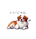 ちょっとぽっちゃりのコーイケルホンディエ（個別スタンプ：18）