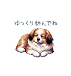 ちょっとぽっちゃりのコーイケルホンディエ（個別スタンプ：25）