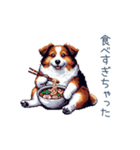 ちょっとぽっちゃりのコーイケルホンディエ（個別スタンプ：27）